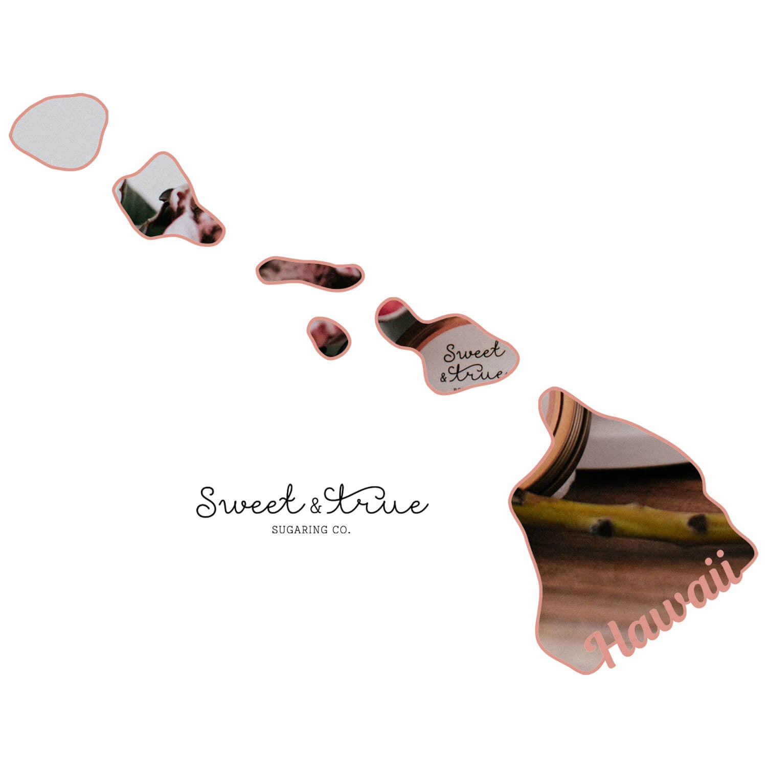 Maui, Hawaii - Sugaring Certification